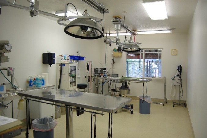 Surgery
