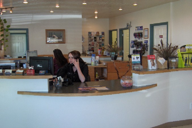 Reception 2