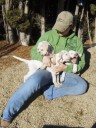 Bridget spending some time with her pups
